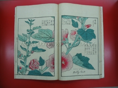 草木譜 清野茂花 水墨画集