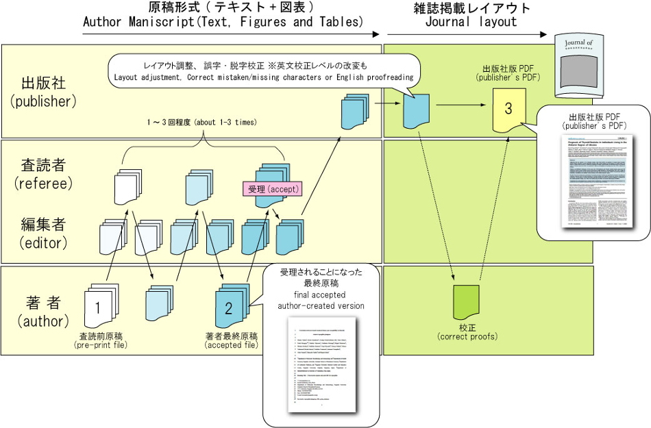 article-type